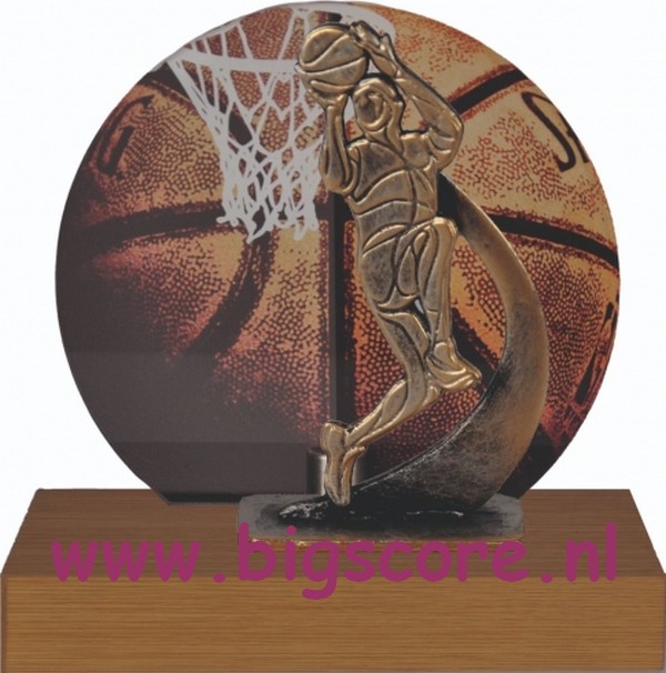 Basketball Metaalbeeld + Acrylachtergrond TRK784